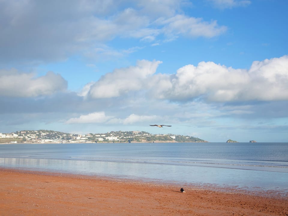Surrounding area | The Lighthouse - Sunnybeach Holiday Apartments, Paignton