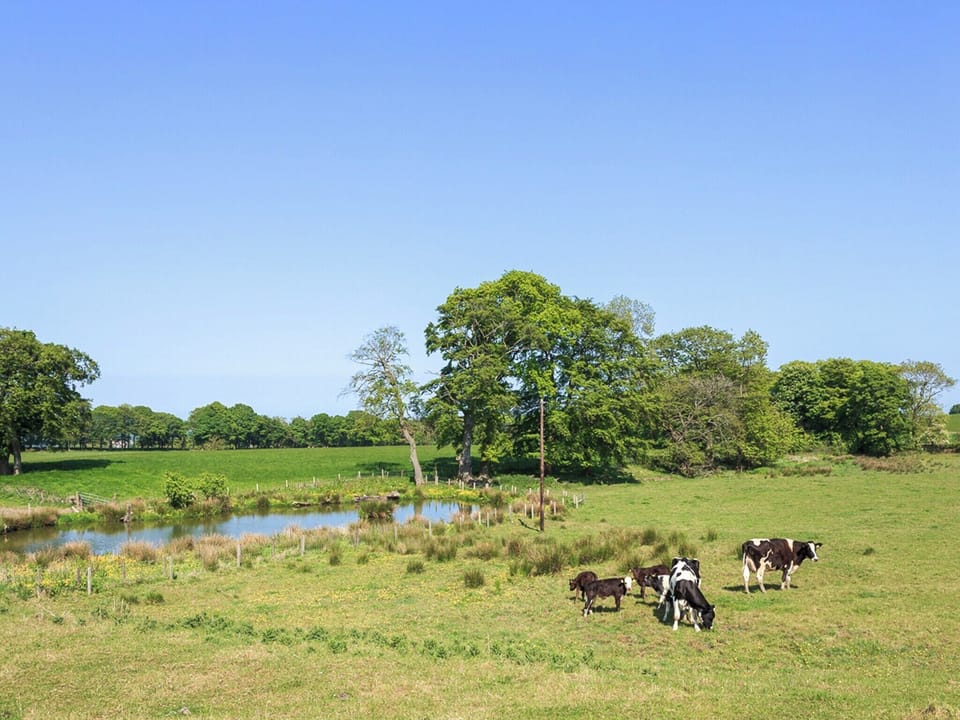 Setting | One Eden Cottage - Williamscraig Holiday Cottages, Linlithgow