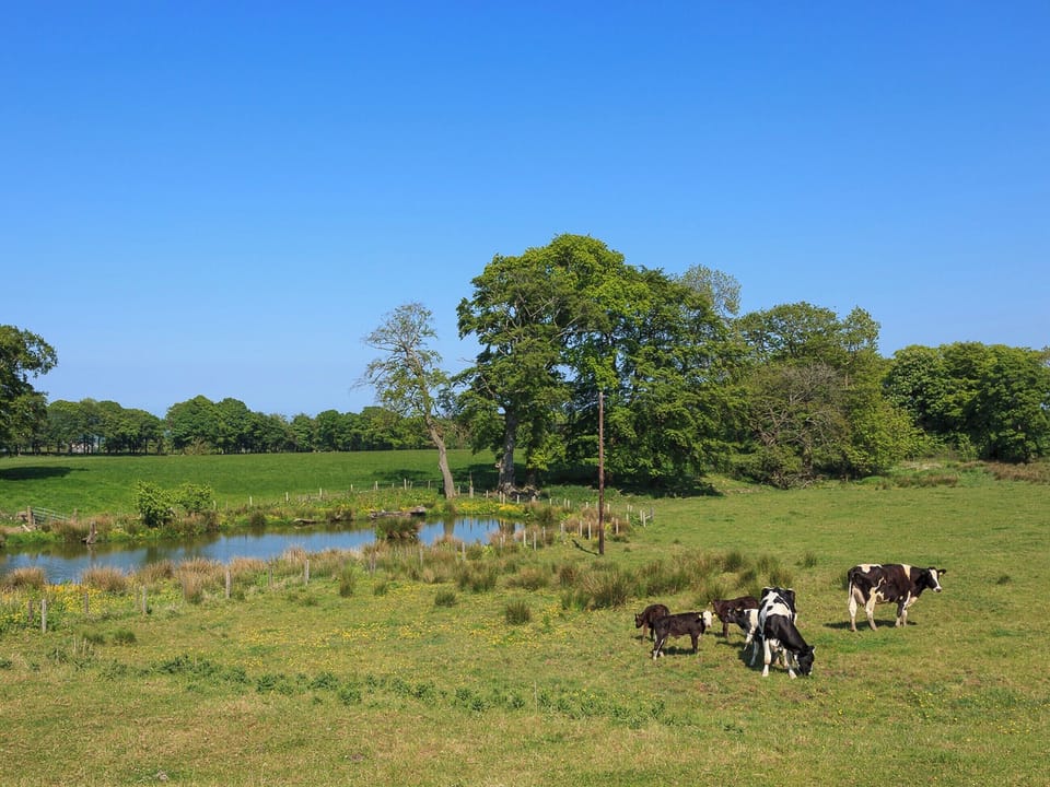 Garden and grounds | Two Eden Cottage - Williamscraig Holiday Cottages, Linlithgow
