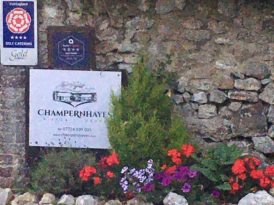 Setting | Lark - Champernhayes, Wooton Fitzpaine, near Charmouth