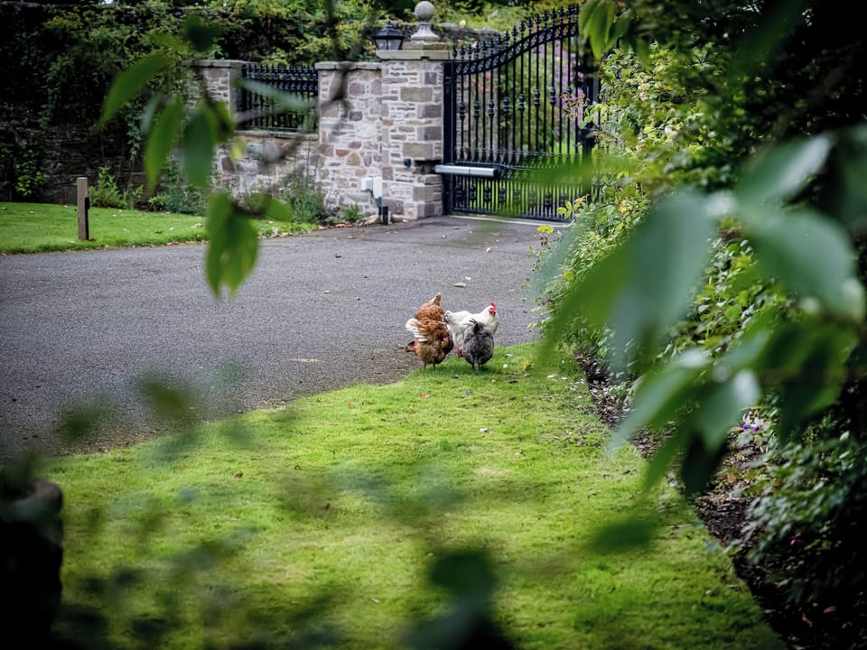 Exterior | The Courtyard Apartment - Panbride Getaways, Carnoustie, near Dundee