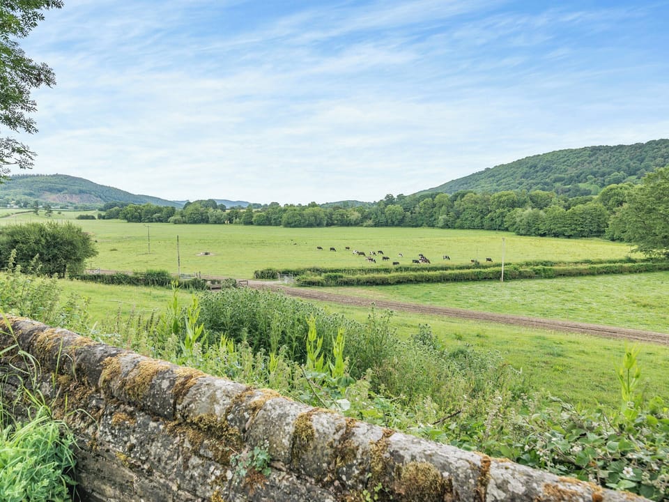View | Court Cottage, Knill, near Presteigne