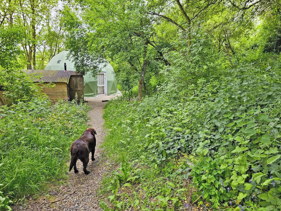Exterior | The Tree Dome - Woodland Escapes, Ludlow