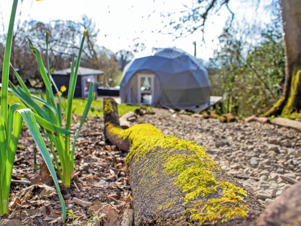 Exterior | The Star Dome - Woodland Escapes, Ludlow
