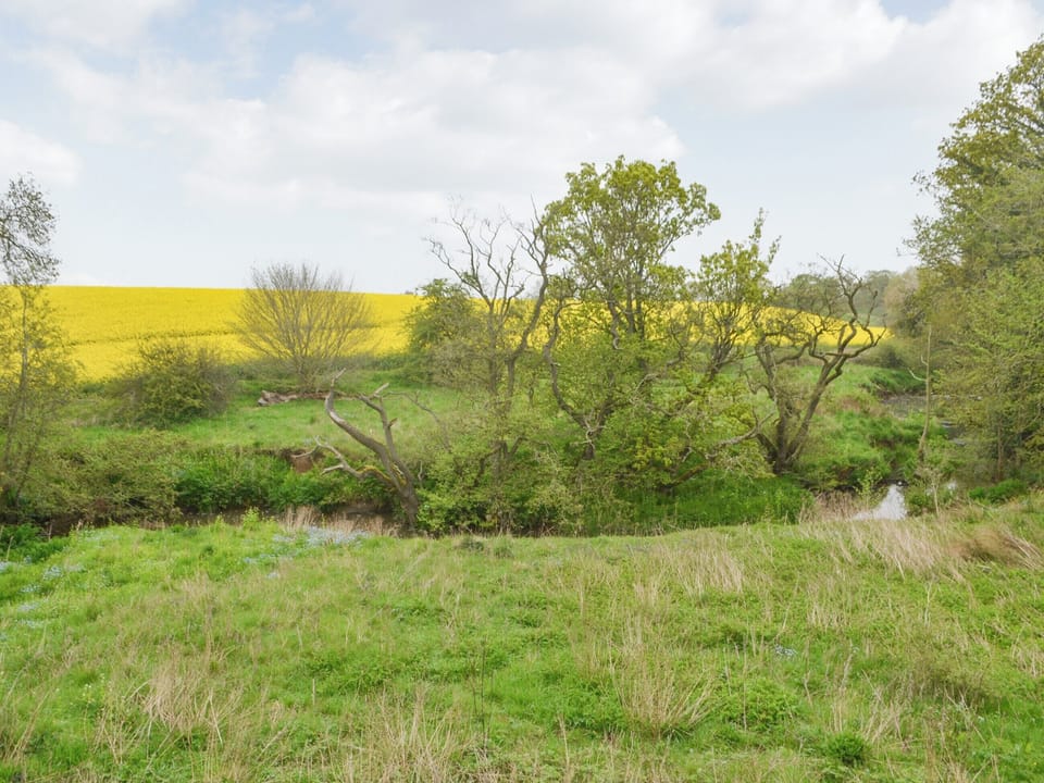 View | Unwind @37 - Unwind Lodges, Felton, near Morpeth