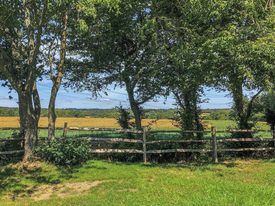 Garden | Oak - Scallow Glamping , East Hoathly, near Lewes