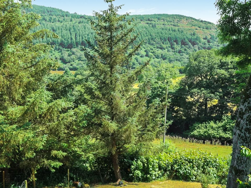 Surrounding area | Ty Cerrig Cottage, Corwen