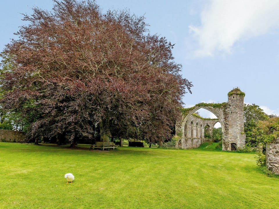 Garden and grounds | Heron&rsquo;s Wood at Greyfriars - Greyfriars, Winchelsea