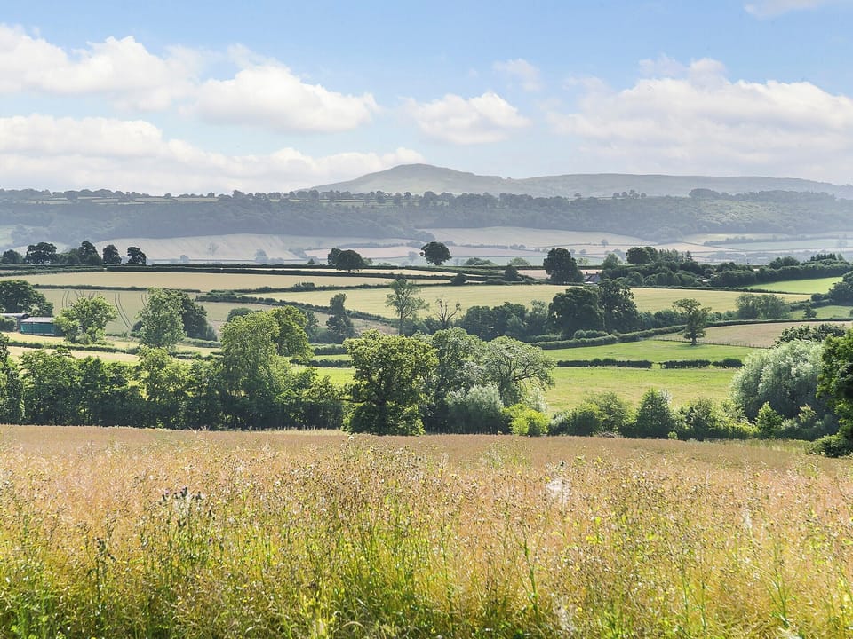 Surrounding area | Apple Tree Lodge, Ludlow
