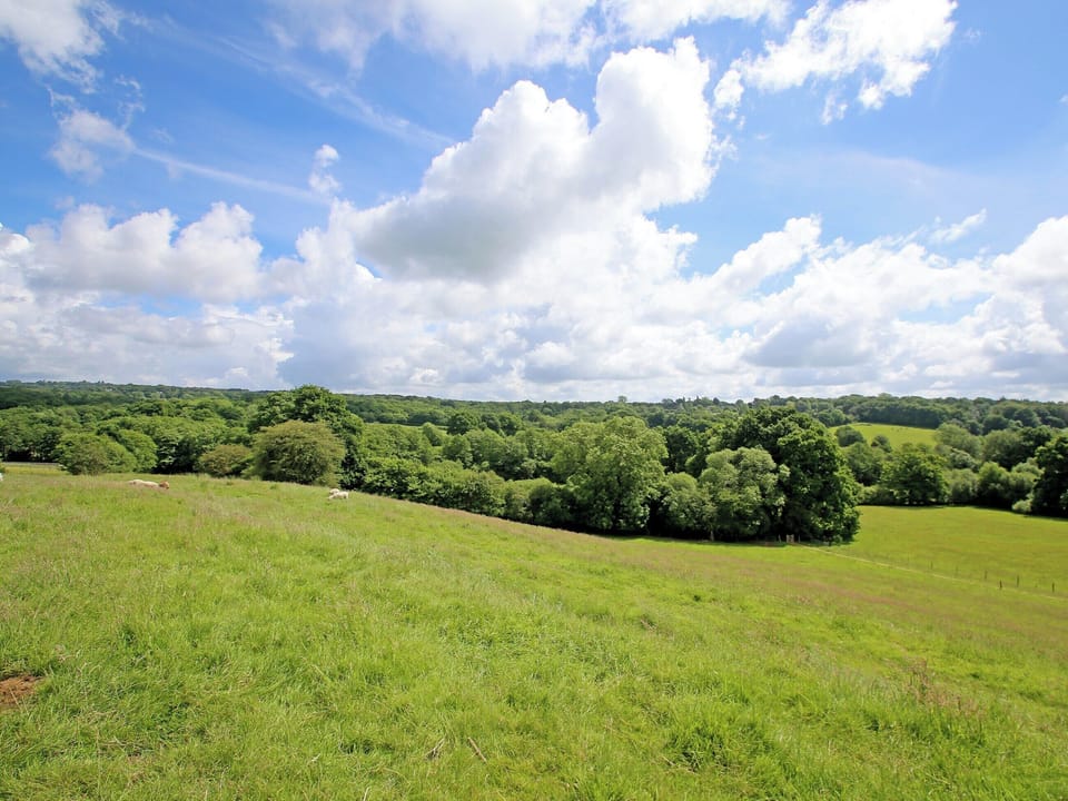 View | Cherry Pip, Uckfield