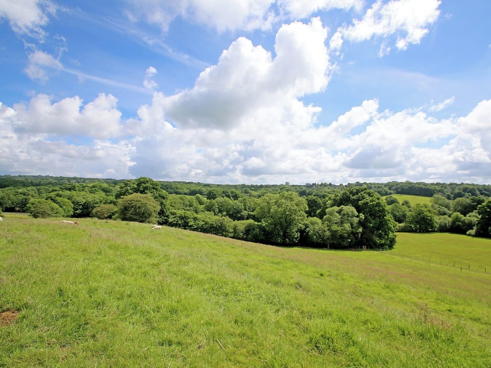 View | Holly Cottage, Uckfield