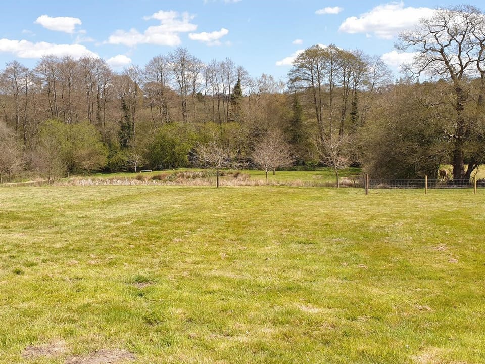 Garden and grounds | Beech Cottage, Uckfield
