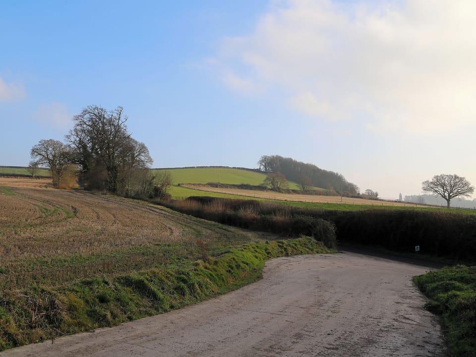 Exterior | Grapevine Cottage, Near Ilminster