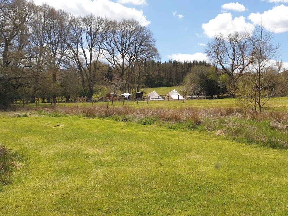 Bottom paddock | Chestnut Cottage, Uckfield