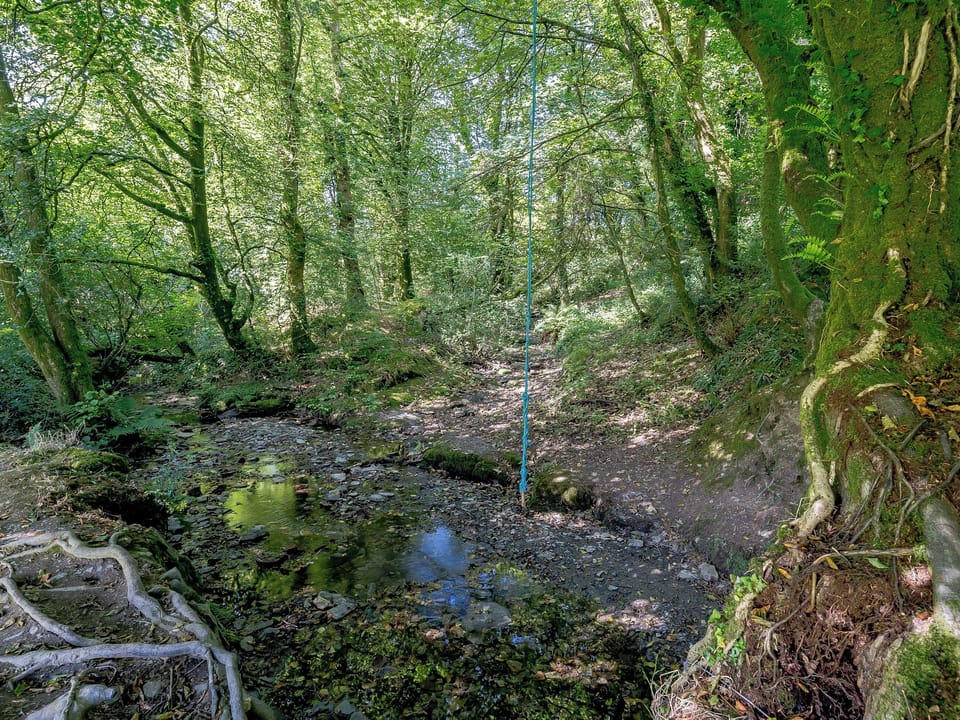 Garden and grounds | Wellstone Cottages, Llanfyrnach