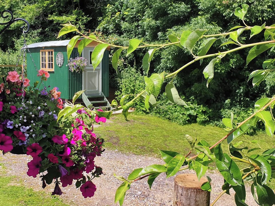 Exterior | Dorset Alpaca Shepherd&rsquo;s Hut, Dorchester