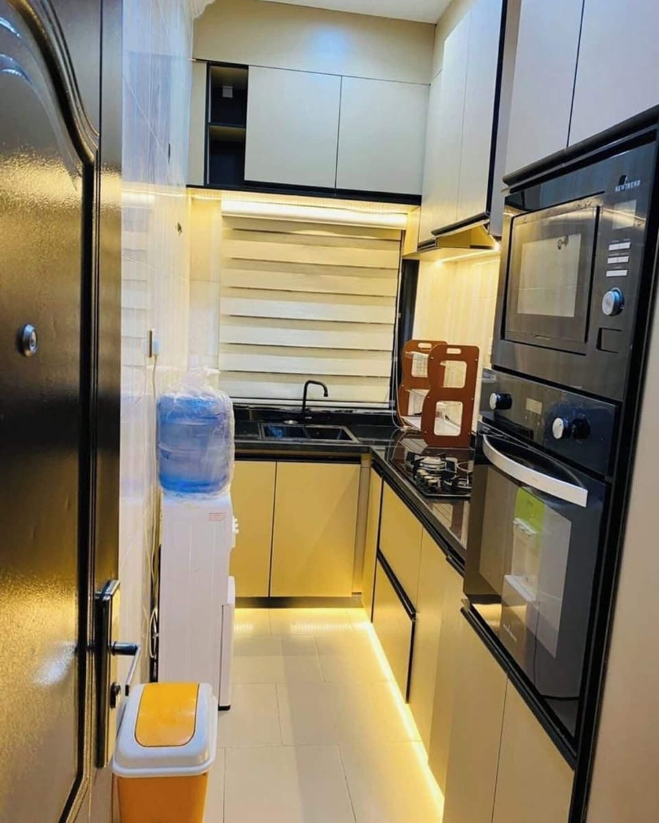 Economy Apartment, Balcony, City View | Private kitchen | Fridge, microwave, oven, stovetop