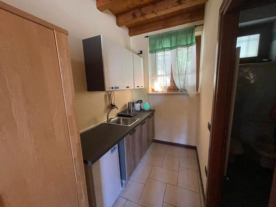 Studio, Patio, Lake View | Private kitchen | Microwave