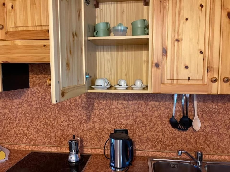 Apartment, Lake View | Private kitchen | Microwave