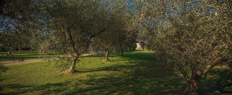 Autumn, Garden, Spring, Summer