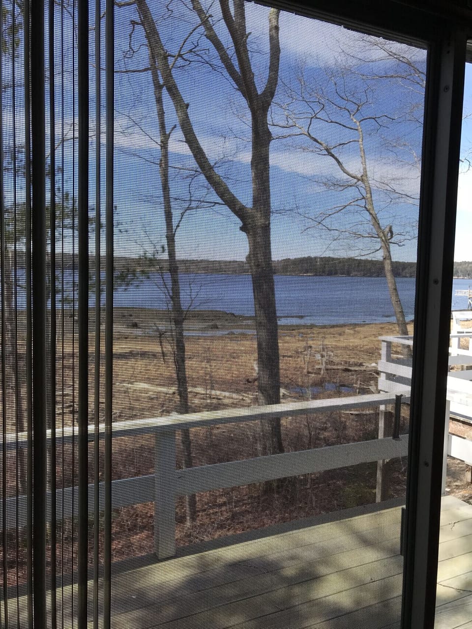 View of the Sheepscot River through the screened door of the downstairs bedroom
