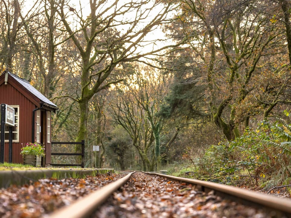Beddgelert Golden Oak - freshly inspired design