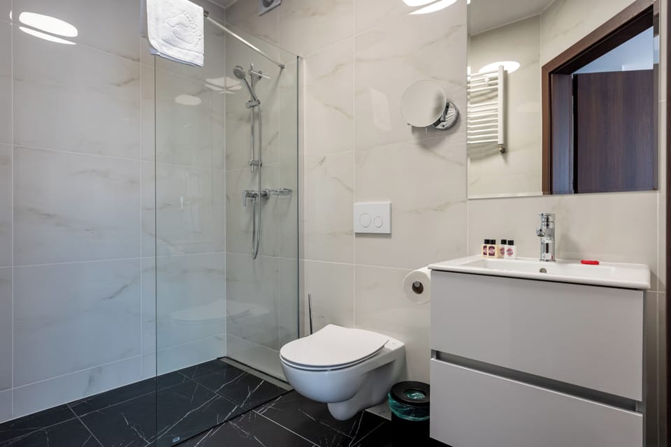 Deluxe Room | Bathroom | Shower, free toiletries, hair dryer, towels