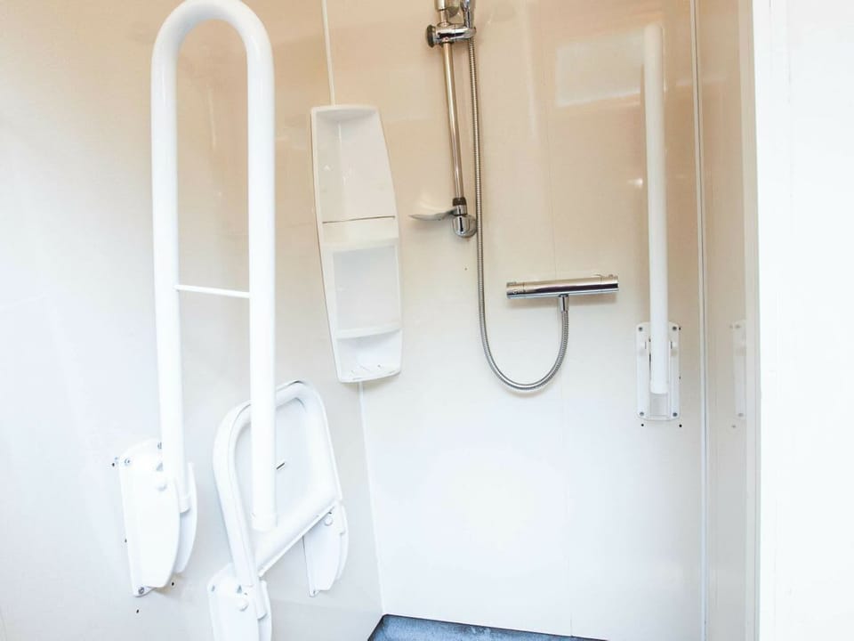 Deerpark Classic Silver Birch wheelchair accessible cabin