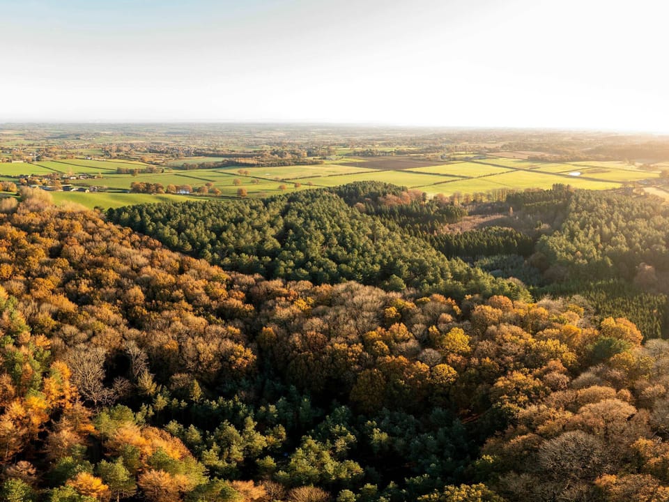 Delamere Forest Golden Oak Hideaway