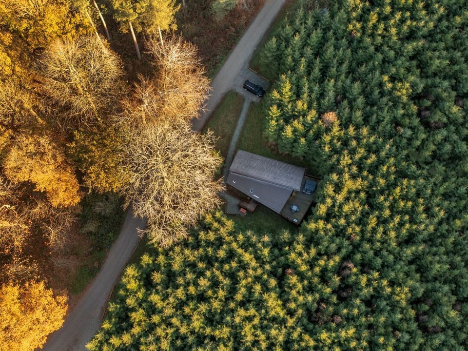 Delamere Forest Golden Oak 2 doubles and 1 twin Secluded View