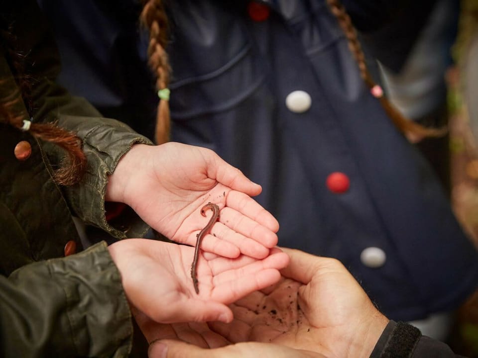 Ardgartan Argyll Silver Birch wheelchair accessible cabin