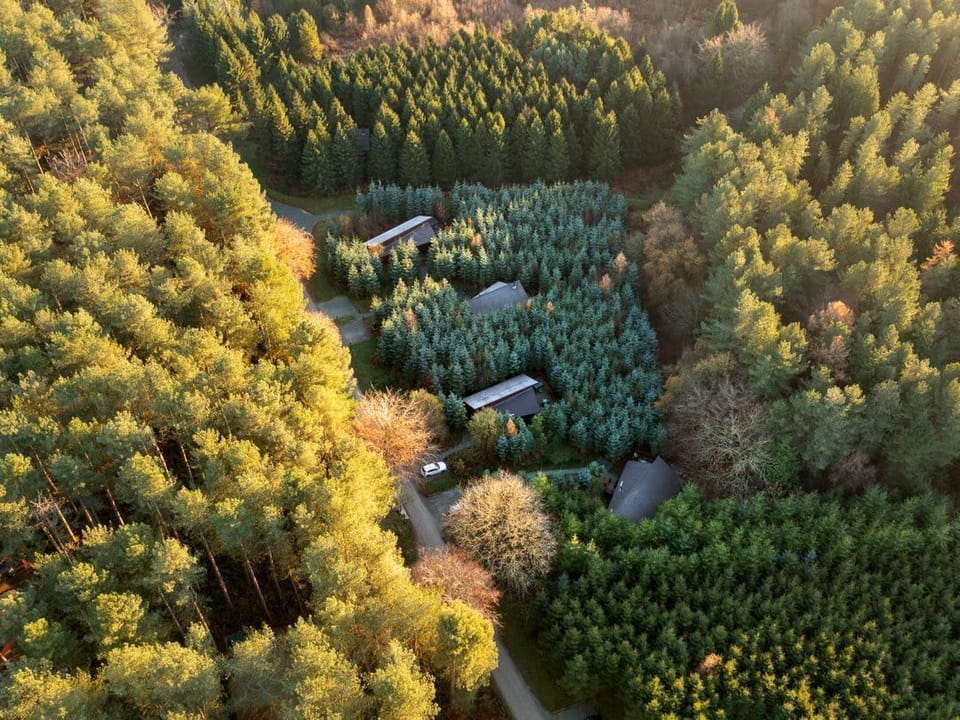 Delamere Forest Silver Birch 2 doubles and 1 twin Secluded View