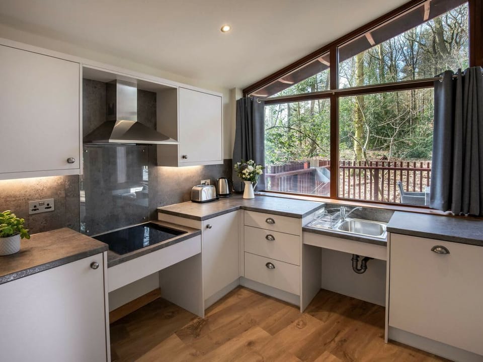 Delamere Forest Silver Birch wheelchair accessible cabin