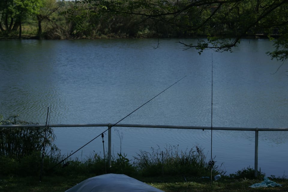Fishing