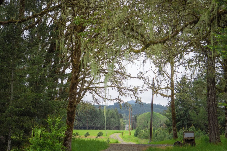 Land view from property