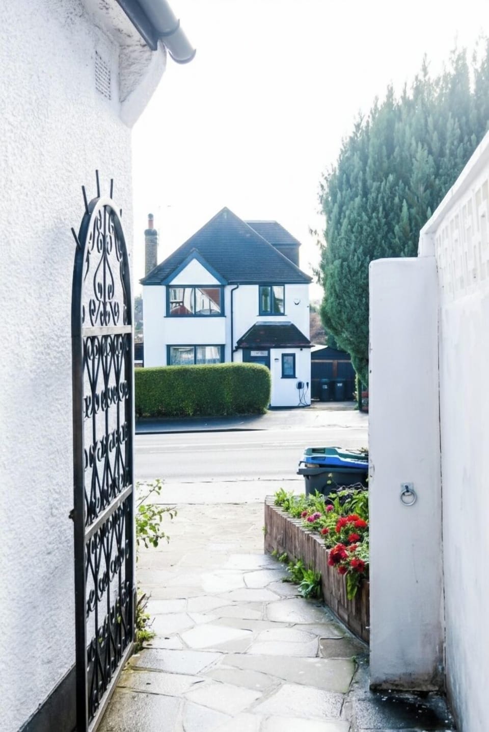 Image 20