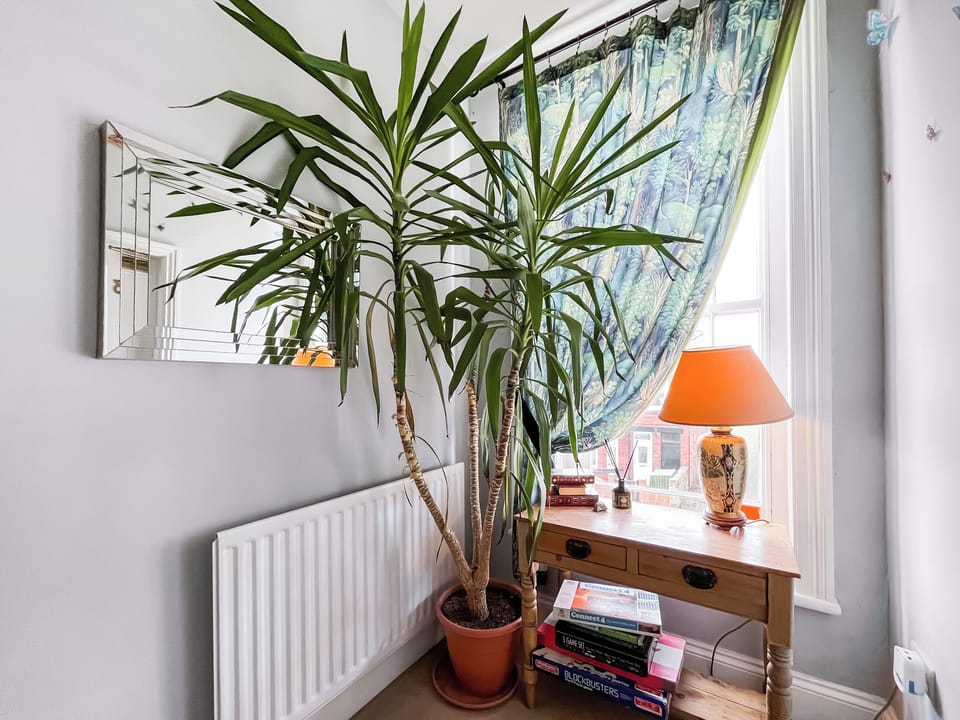 Interior | The Badger Sett, Hinderwell, near Staithes