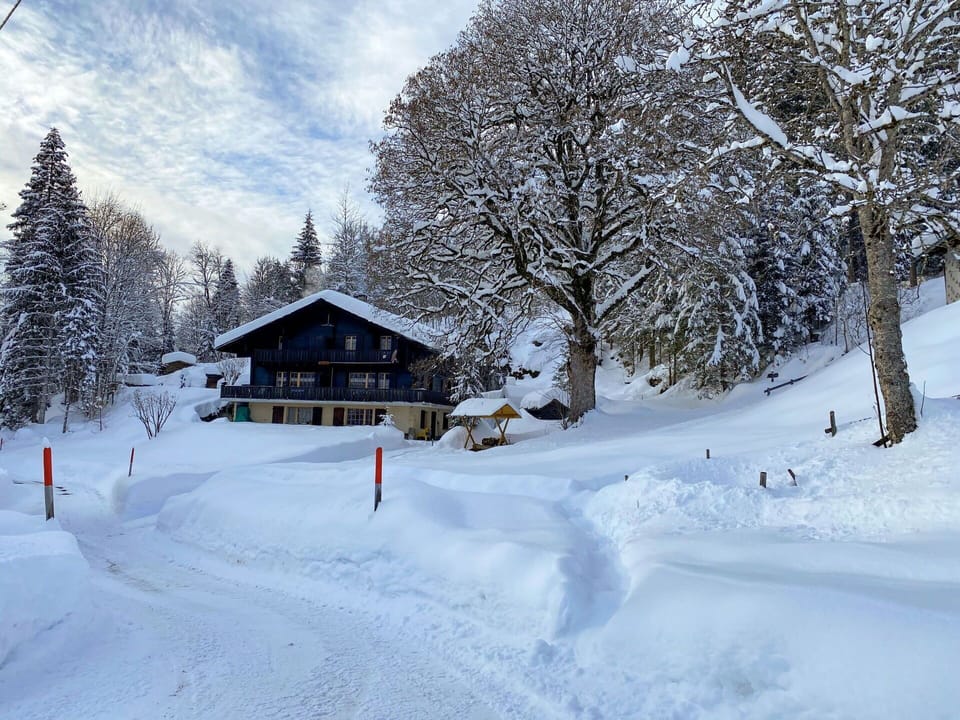 Sky, Snow, Cloud, Tree, House, Slope, Cottage, Building, Freezing, Landscape
