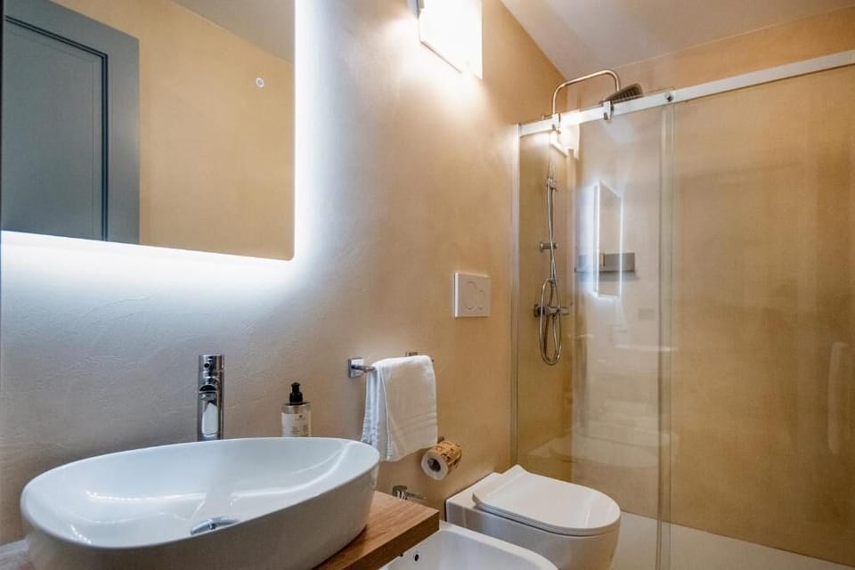 Shower, hair dryer, bidet, towels
