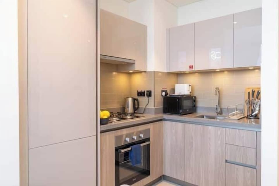 Luxury Apartment, City View | Private kitchen | Full-size fridge, microwave, oven, stovetop