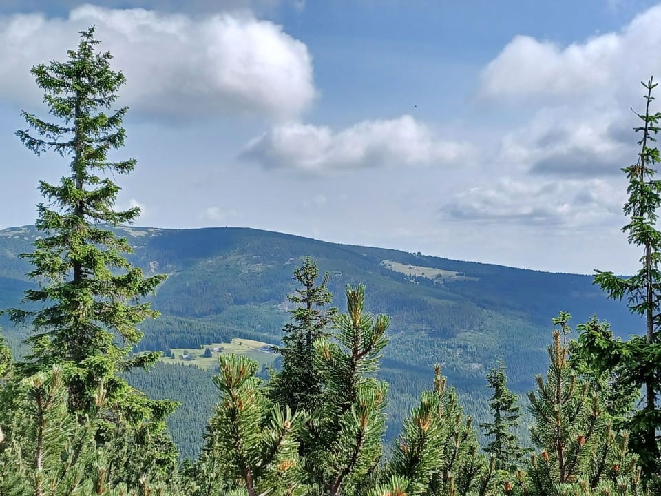 Mountainous Landforms, Tree, Natural Environment, Mountain, Wilderness, Highland, Hill, Cloud, Forest