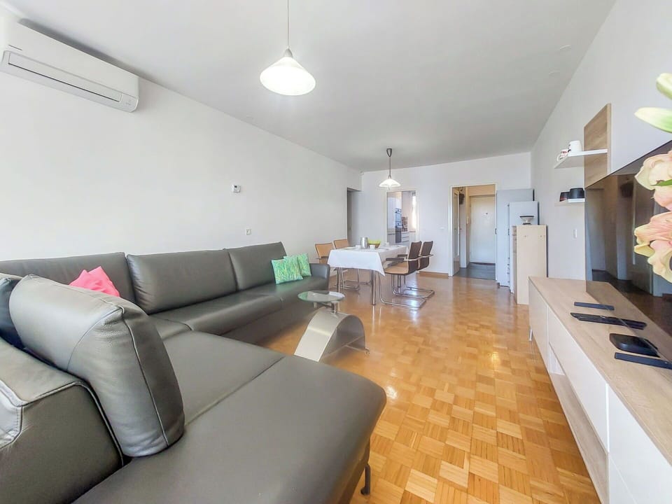 Flooring, Interior Design, Floor, Ceiling, Furniture, Couch, Living Room, Room, Wood Flooring, Apartment