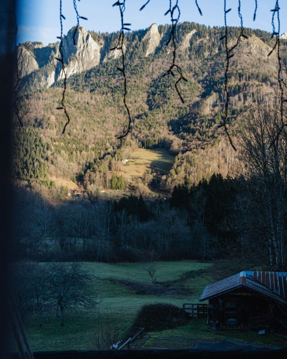 Double or Twin Room, Balcony, Mountain View | Miscellaneous
