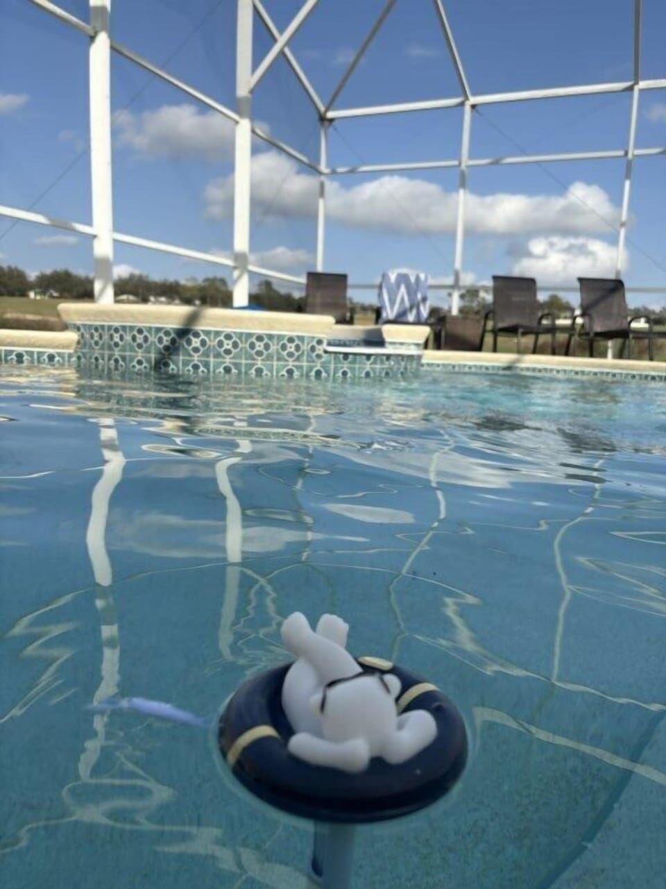 Pool and Spa