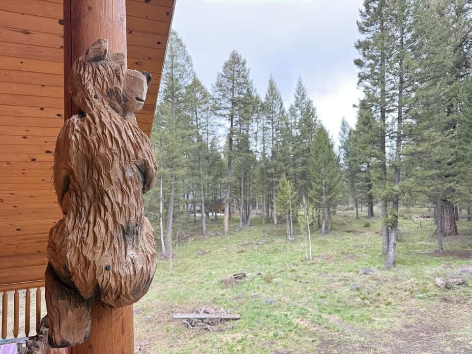 The bears keeping watch over the area.