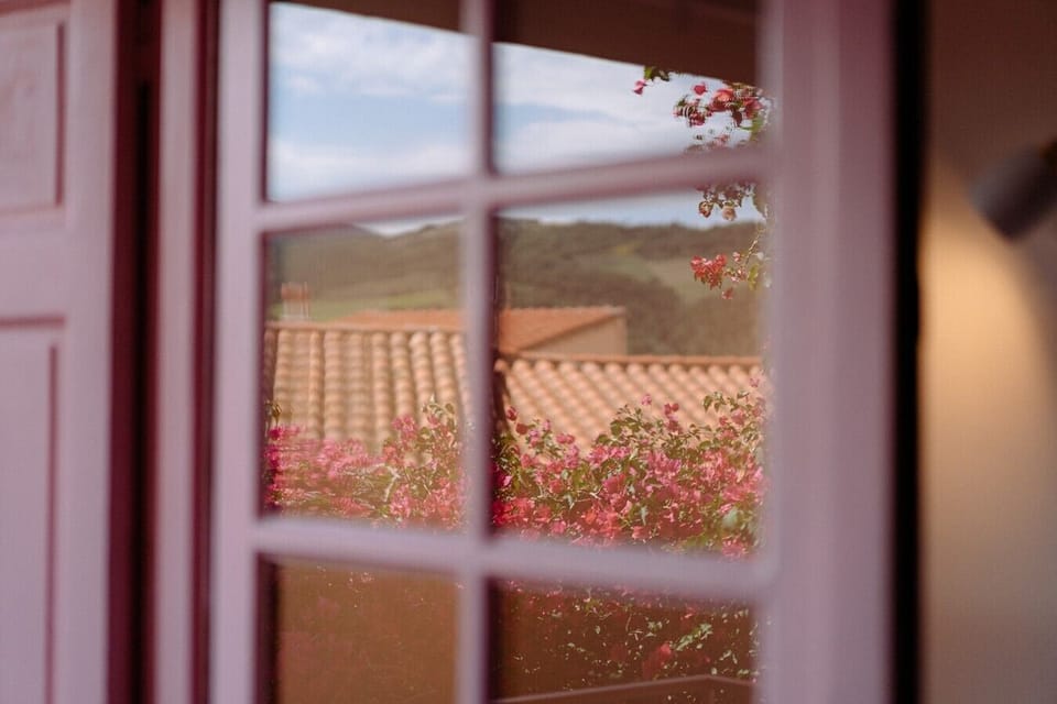 Vue sur les toits de Collioure depuis l`intérieur de la maison