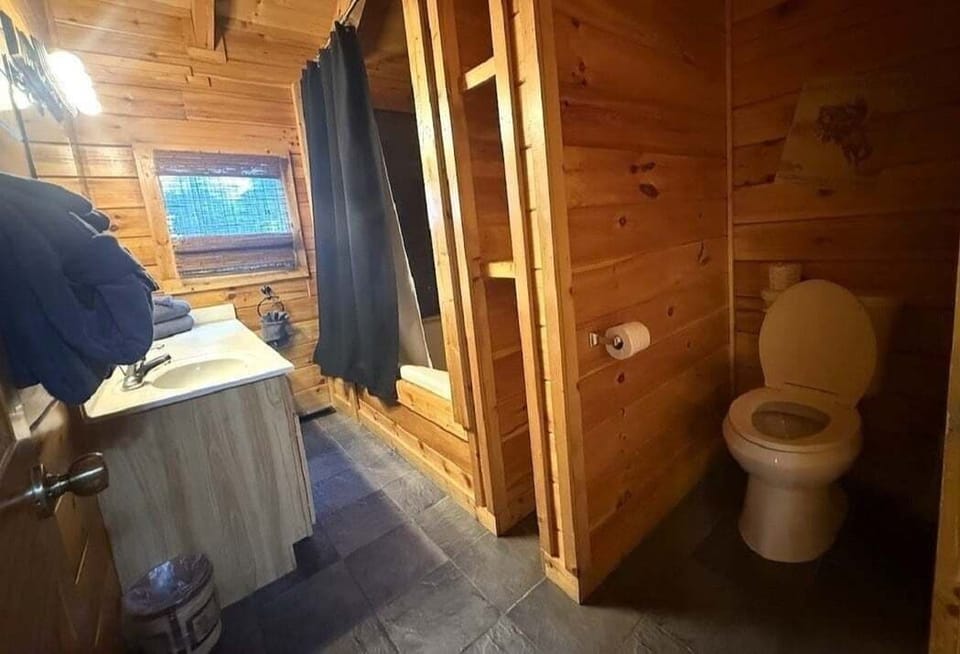 Hanky Panky 1 Bedroom Cabin Cabin in Pigeon Forge