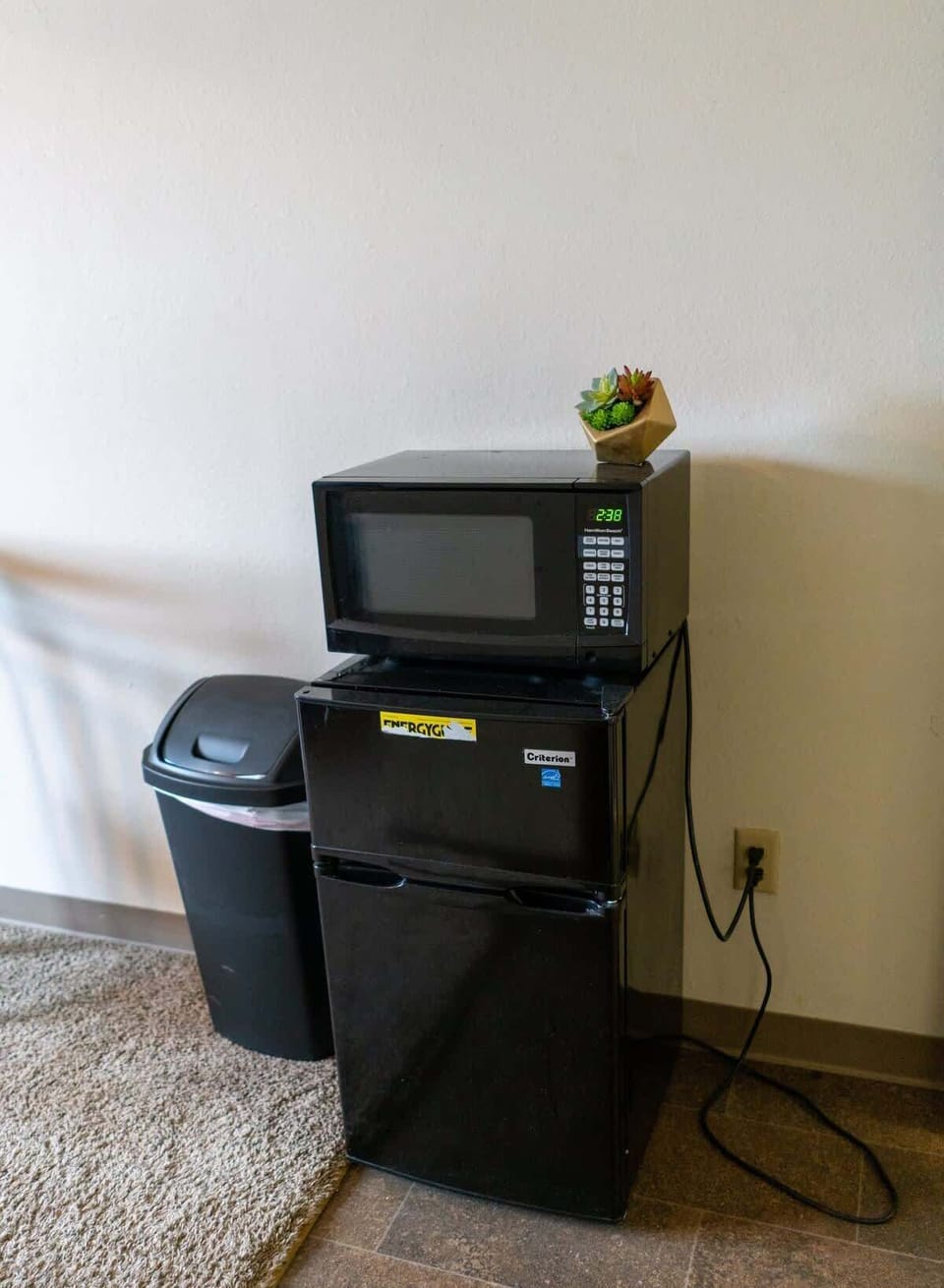 Minifridge and Microwave