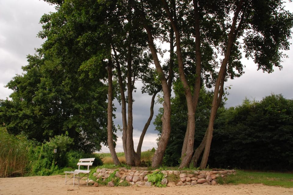 Immediate Surroundings [summer] (<1 km)