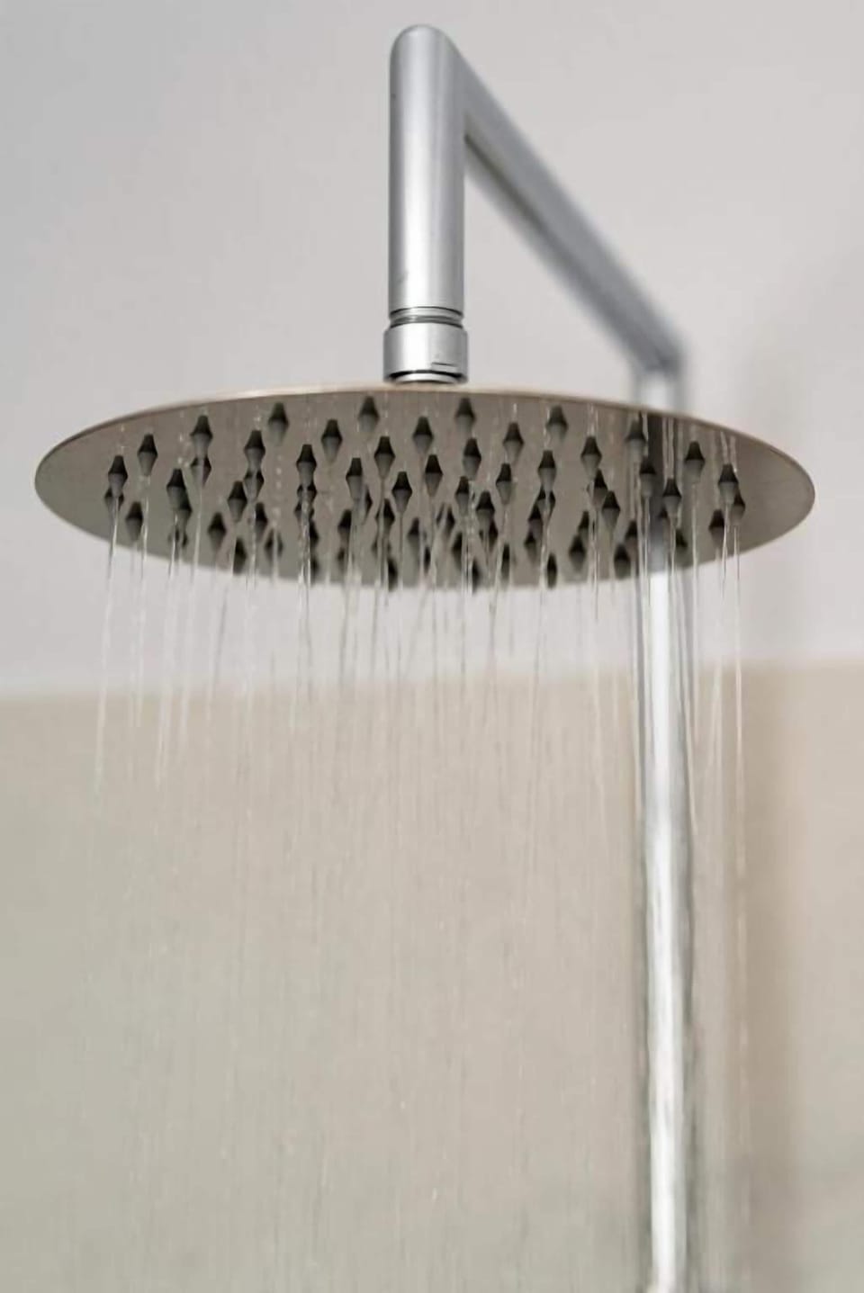 Suite, 2 Bedrooms, Balcony | Hand-held showerhead